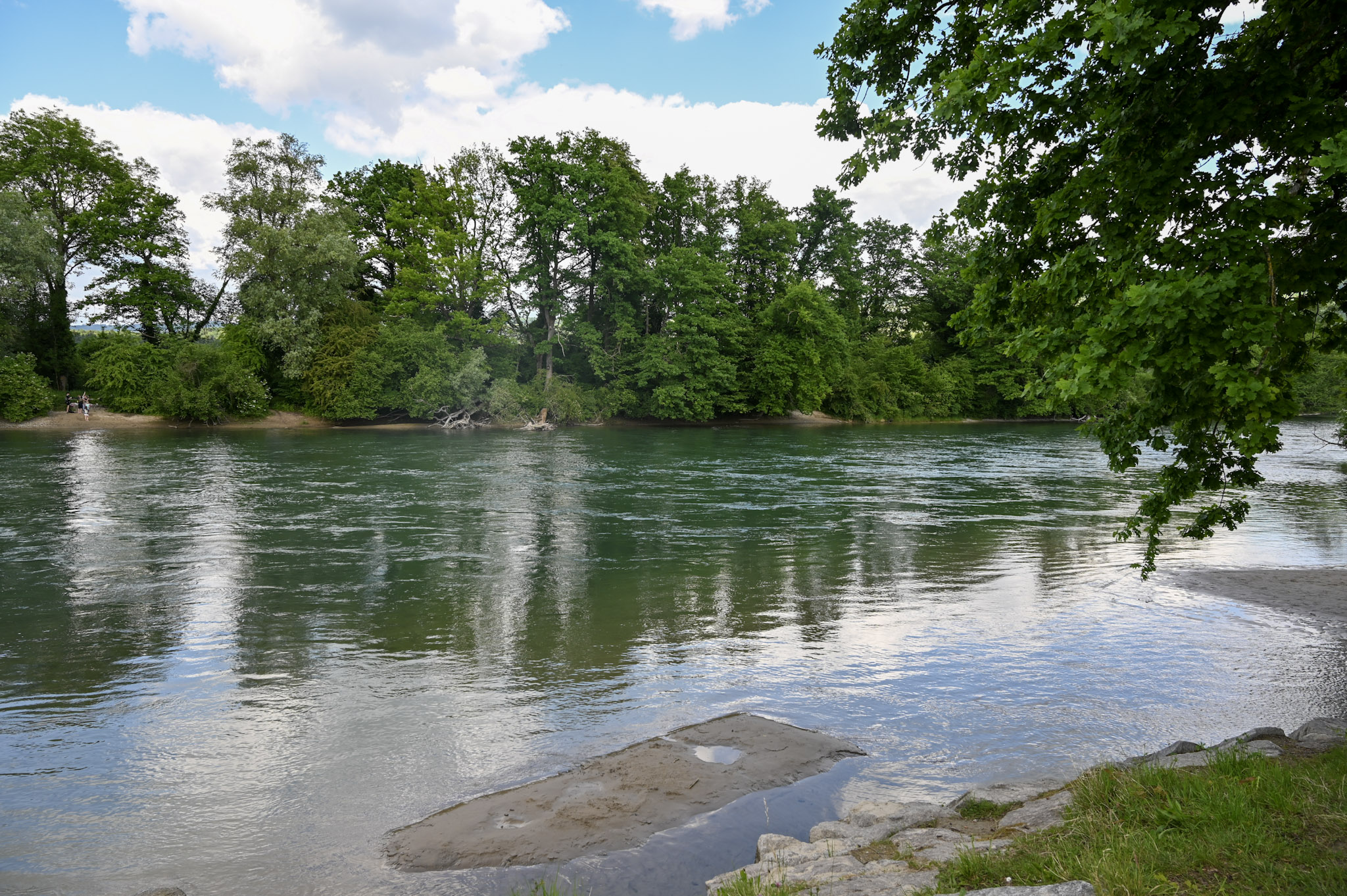 Flussufer mit Bäumen
